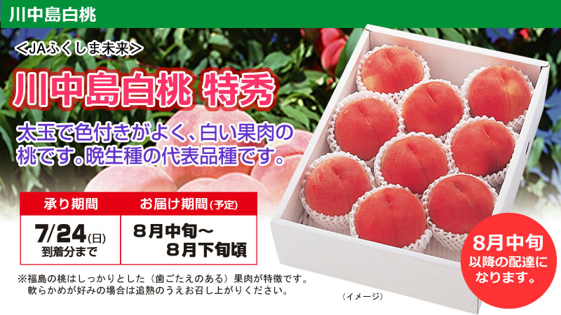 承り期間7月24日(日)まで/お届け期間(予定)8月中旬〜8月下旬